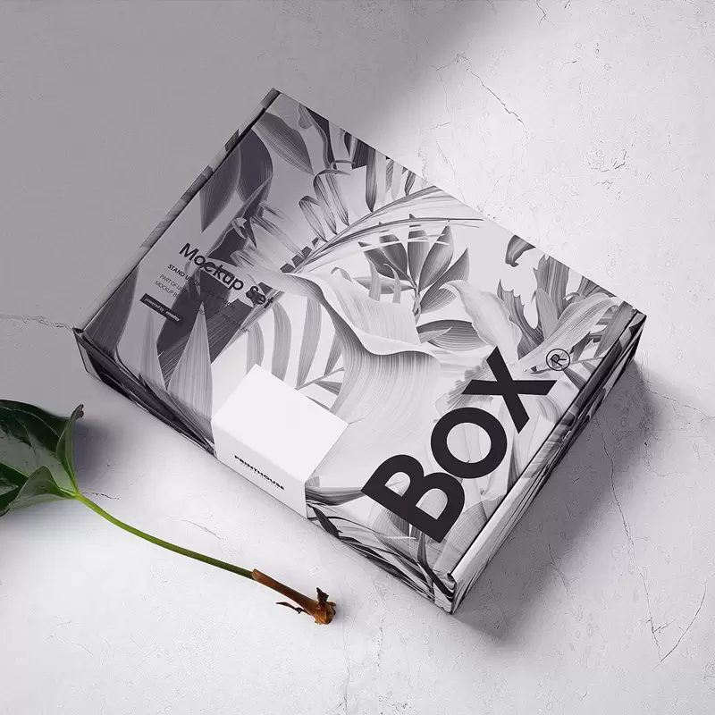 Caja de embalaje para envío electrónico