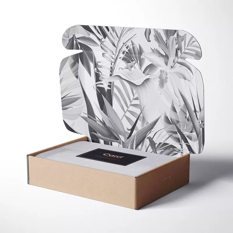  Cajas de cartón corrugado para correo 